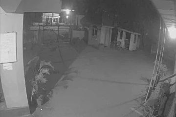 மன்னாரில் அதிகரிக்கும் கரடியின் நடமாட்டம்: அச்சத்தில் மக்கள்(Photo)