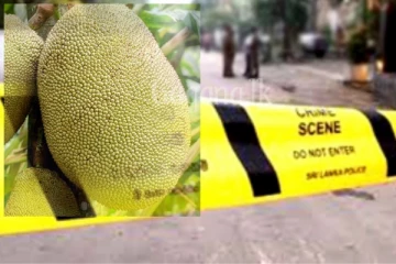 කොස් ගෙඩියක් නිසා 29 හැවිරිදි හෝටල් හිමිකරුවෙක් ඝාතනය කරයි..