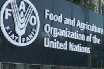 37වන එක්සත් ජාතීන්ගේ සංවිධානයේ ආහාර හා කෘෂිකර්ම සමුළුව මෙරටදී