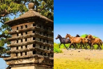 வடமாகாணத்தின் ஓர் சிறந்த சுற்றுலாத்தலமாக விளங்கும் நெடுந்தீவு! சுவாரஸ்ய தகவல்