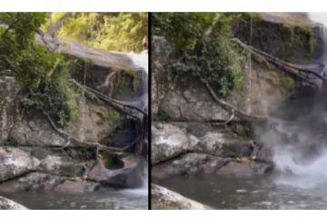 மலை உச்சியிலிருந்து தவறி விழுந்த நபர் - நெஞ்சை பதற வைக்கும் அதிர்ச்சி வீடியோ வைரல்