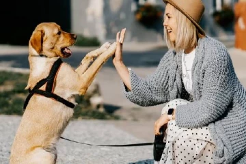 பொது இடங்களில் நாய்கள் நடப்பதற்கு தடை விதித்துள்ள நாடு எது தெரியுமா?