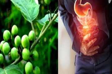 வயிற்று பிரச்சினைகளுக்கு உடன் தீர்வளிக்கும் சுண்டைக்காய்