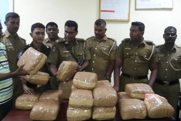 யாழில் 2.7 கோடி ரூபாவுக்கும் அதிக பெறுமதியுடைய கேரள கஞ்சாவுடன் ஐவர் கைது | Kerala Cannabis Worth Over Rs 2 7 Crore In Jaffna