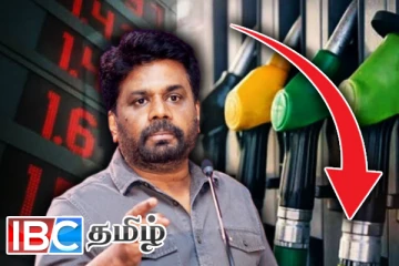 எரிபொருள் விலை குறைப்பு தொடர்பில் ஜனாதிபதி வெளியிட்ட தகவல்