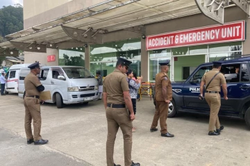 கொத்மலையில் குளவி தாக்குதல்: 7 பொலிஸ் அதிகாரிகள் வைத்தியசாலையில் அனுமதி