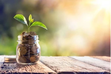 மணி பிளாண்ட் செடியை மறந்தும்கூட இந்த திசையில் வைக்காதீர்கள்!