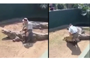 வனவிலங்கு பூங்காவில் எஜமானரை கடித்து குதறிய ராட்சத முதலை - அதிர்ச்சி வீடியோ