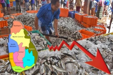 மக்களுக்கு மகிழ்ச்சித் தகவல் : வீழ்ச்சியடைந்த மீன்களின் விலைகள்