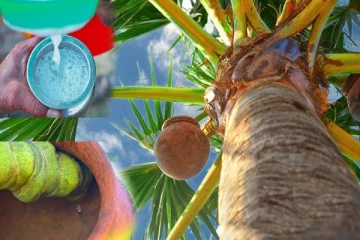 ஏற்றுமதி தொடர்பான தடைகளை நீக்க விரைவாக நடவடிக்கை எடுக்குமாறு முன்மொழிவு