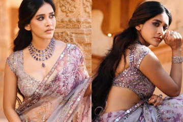 ட்ரான்ஸ்பரென்ட் சேலையில் ஹாட் போஸ் கொடுத்த நடிகை நபா நடேஷ்