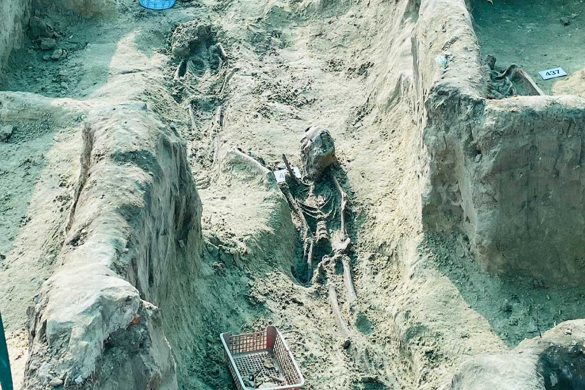 செம்மணியில் இன்றும் அகழப்பட்ட 11 என்புக்கூடுகள் | Chemmani Mass Graves Jaffna