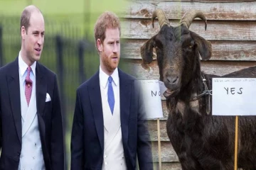 எதிர்காலத்தை துல்லியமாக கணிக்கும் ஆடு! இளவரசர்கள் தொடர்பில் கவலைதரும் தகவல்