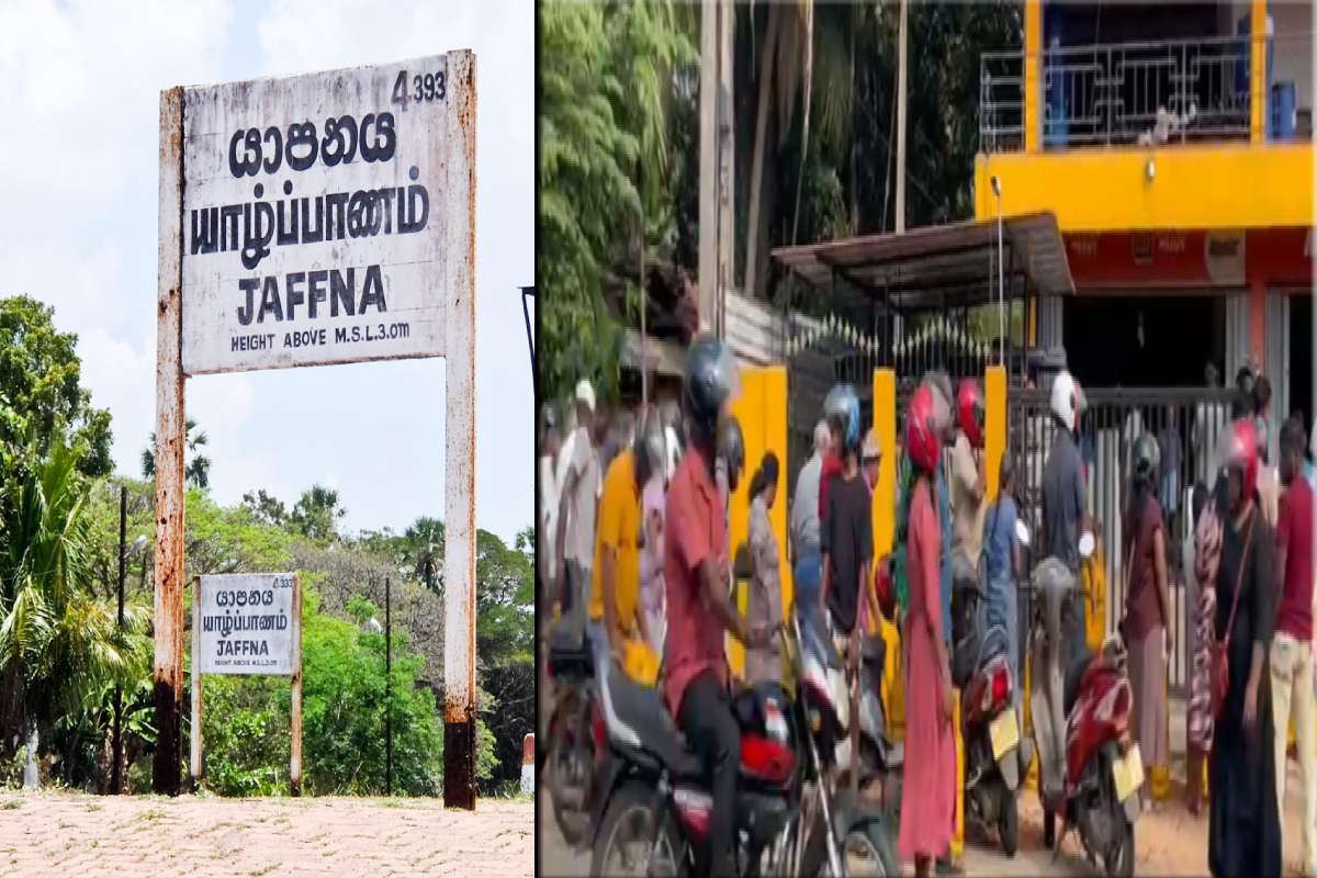 உலகில் பெரும் உயர்வை சந்தித்த விலைகள் ; யாழில் எரிவாயுவிற்காக மக்கள் செய்த செயல் | People Scramble For Gas In Jaffna உலகில் பெரும் உயர்வை சந்தித்த விலைகள் ; யாழில் எரிவாயுவிற்காக மக்கள் செய்த செயல் | People Scramble For Gas In Jaffna