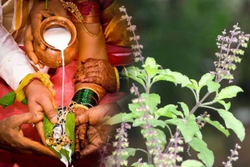 வேண்டிய வரன் கிட்டவும், கணவன் நீடுழி வாழவும் துளசி பூஜை