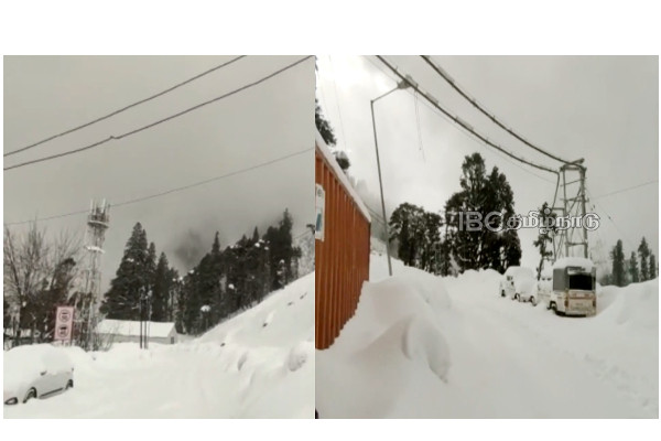 himachal-pradesh-kullu-snowfall-viral-video