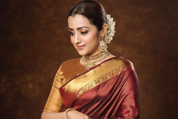 யாரை இப்படி சொன்னார் த்ரிஷா? குழப்பத்தில் ரசிகர்கள் | Trisha Insta Status About A Person