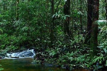 ஈரானிய பிரஜைகள் மூவருக்கு நீதிமன்றத்தினால் அபராதம்