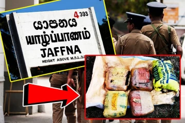 யாழில் பதுக்கி வைக்கப்பட்டிருந்த 9 கிலோ கேரளா கஞ்சா மீட்பு!