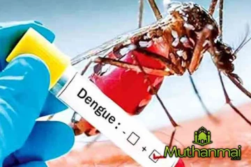 121 பாடசாலைகளில் டெங்கு பரவும் அபாயம்! விடுக்கப்பட்ட எச்சரிக்கை