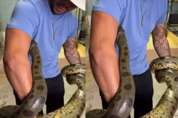 அனகோண்டா பாம்பிடம் சிக்கிய பிரபல தொகுப்பாளர்: திக் திக் நிமிடங்கள்!