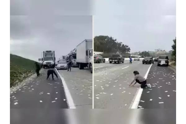 Robbers who dumped money in bundles on the road