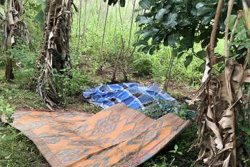 மின்சாரம் தாக்கி முதியவர் பலி (Video)