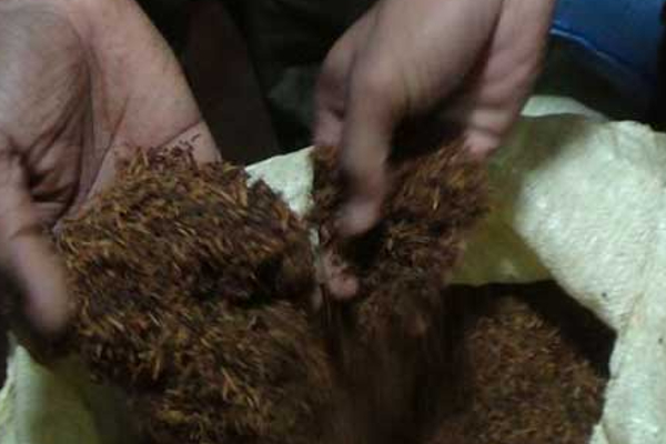 800 கிலோ கழிவு தேயிலை தூளை ஏற்றிச் சென்ற மூவர் கைது! | Three Arrested For Transporting Waste Tea Powder