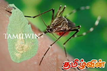 நான்கு மாகாணங்களில் அதிகரிக்கும் டெங்கு