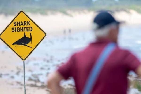 கடற்கரைகளை மூடிய அவுஸ்திரேலியா ; அதிகாரிகள் எச்சரிக்கை | Australia Closes Beaches Officials Warn