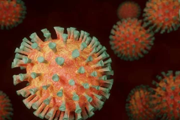 உங்களுக்கே தெரியாமல் உங்களுக்கு கொரோனா வந்து போயிருக்கலாம்: உங்களுக்கு தெரியுமா?