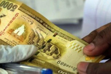 විශේෂ පිරිසකට මුදල් ආධාර - එළඹෙන ජනවාරි මාසයේ ක්‍රියාත්මකයි..