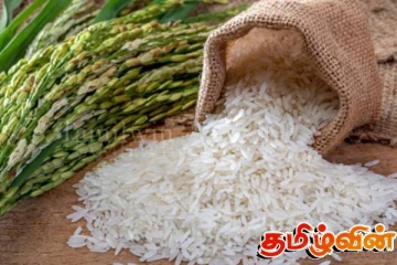 அரிசி தட்டுப்பாடு குறித்து வெளியான தகவல்