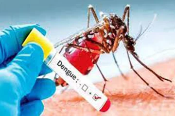 டெங்கு நோயாளர் எண்ணிக்கையில் அதிகரிப்பு