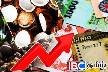 தென்னை ஏற்றுமதியில் வரலாற்று சாதனை படைத்த இலங்கை...!