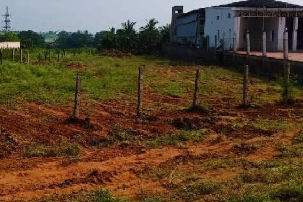 வவுனியா ஓமந்தையில் காணி அற்ற அரச ஊழியர்களுக்கான தகவல் | Land For Landless Civil Servants Vavuniya Omanthai