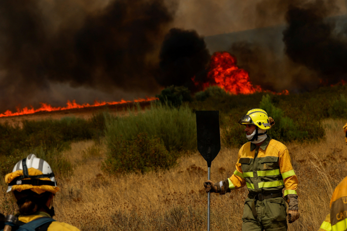 ஸ்பெயினில் கட்டுக்கடங்காத காட்டுத் தீ; 12 பேர் உயிரிழப்பு | Raging Wildfires In Spain 12 Dead ஸ்பெயினில் கட்டுக்கடங்காத காட்டுத் தீ; 12 பேர் உயிரிழப்பு | Raging Wildfires In Spain 12 Dead