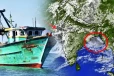 36 நாட்களாக கடலில் தத்தளிப்பு! வங்காள விரிகுடாவில் உயிருடன் மீட்கப்பட்ட இரு இலங்கை கடற்றொழிலாளர்கள்