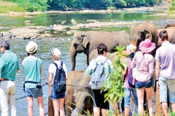 இவ்வருடம் 8 இலட்சமாக அதிகரித்துள்ள சுற்றுலா பயணிகளின் எண்ணிக்கை