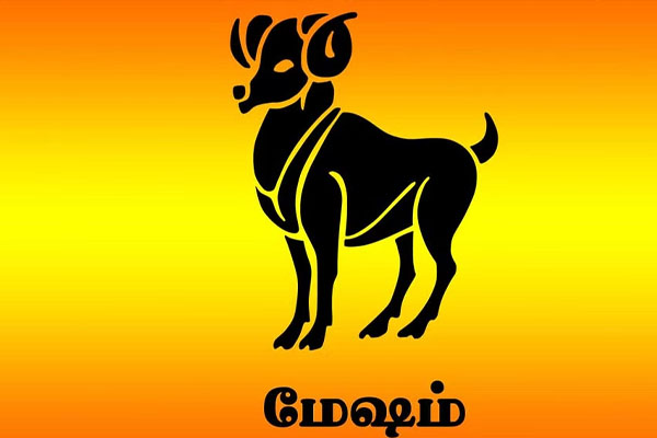 அதிஷ்டத்தால் பிரகாசிக்க போகும் 3 ராசிக்காரர்கள் | 3 Zodiac Signs That Are Going To Shine With Luck