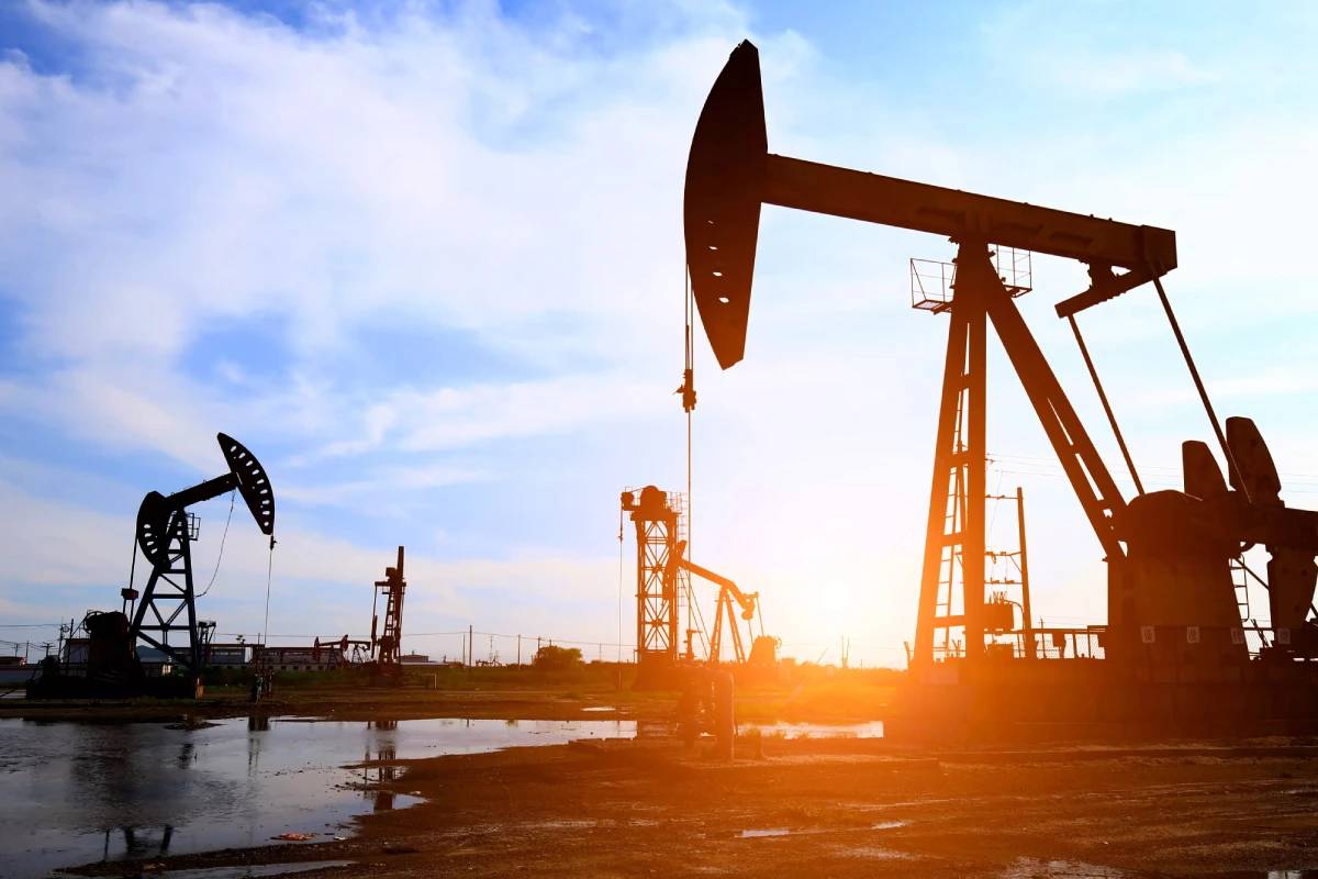 எண்ணெய் விநியோகத்தில் தட்டுப்பாடு ; அமெரிக்காவின் அதிரடி முடிவு | Shortage In Oil Supply America Intervenes