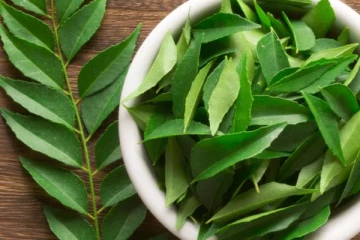 உணவில் இருந்து நாம் தூக்கி எறியும் கறிவேப்பிலையில் இவ்வளவு நன்மைகள் உள்ளதா? தலைமுடி வளர்ச்சிக்கும் உதவுமே!