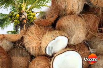 ආයෙ පොල් කනවා බොරු...