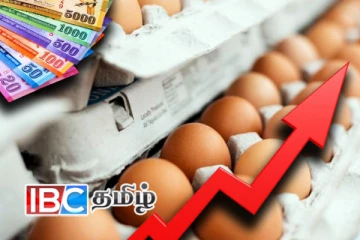மீண்டும் முட்டை விலை உயரலாம்! எச்சரிக்கும் உற்பத்தியாளர்கள்