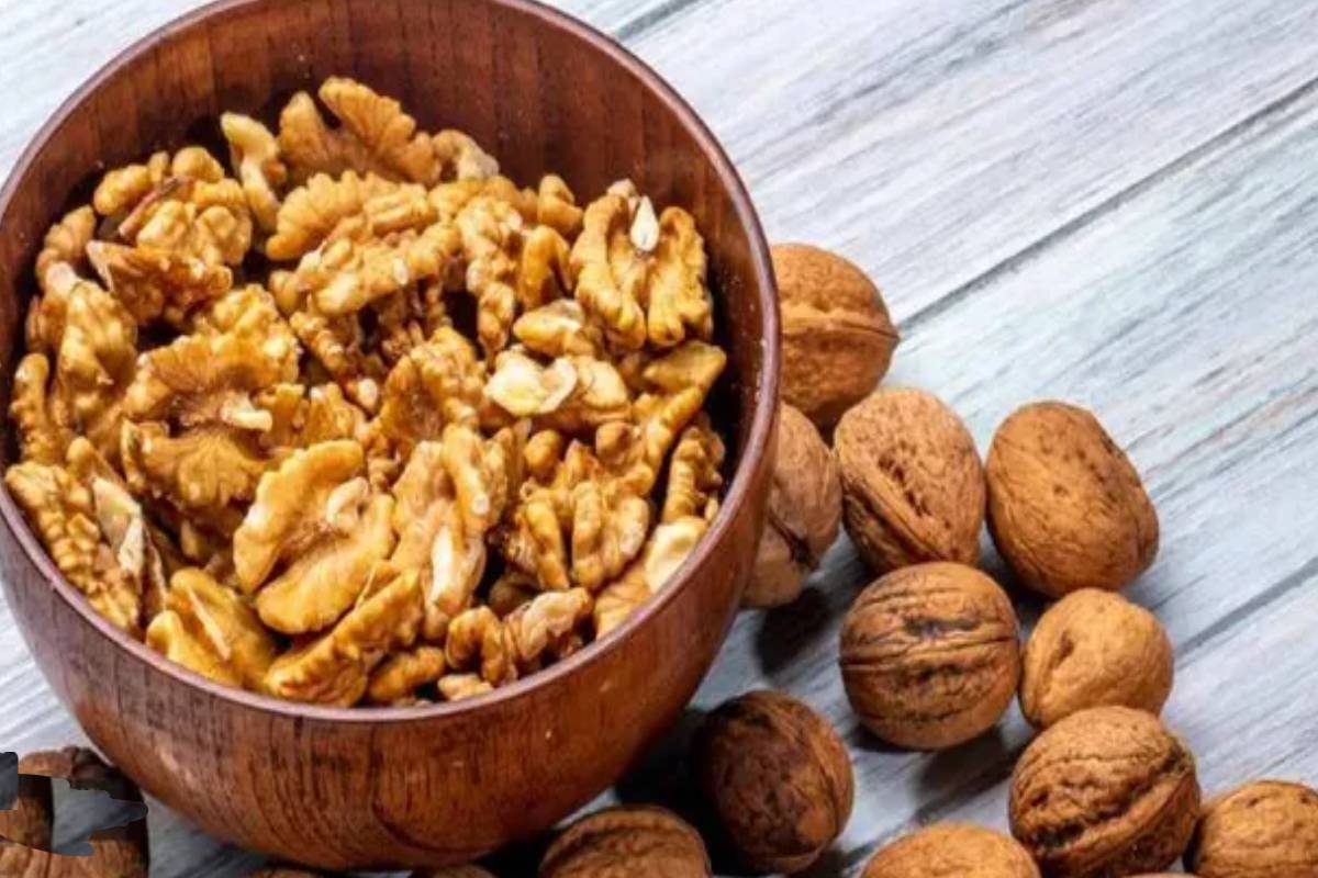 எந்த நட்ஸ் எந்த நேரத்தில் சாப்பிடுவது நல்லது? ஆரோக்கியமாக இருக்க, அவசியம் தெரிஞ்சுக்கோங்க | Which Nuts Are Best To Eat At What Time