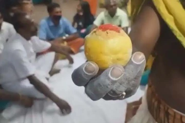 ஒரே ஒரு எலுமிச்சையின் விலை 33 ஆயிரமா? அப்படியென்ன ஸ்பெஷல்