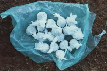 யாழில் கஞ்சாவுடன் சகோதரர்கள் இருவர் கைது