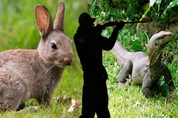 மகனின் வேட்டை தந்தைக்கு வினையானது!