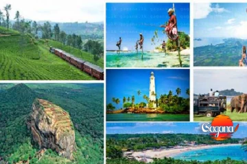 ලංකාවේ සංචාරක කේෂ්ත්‍රයට සුභ ආරංචියක්