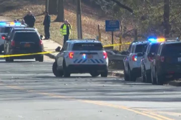 அமெரிக்காவில் விபத்தில் தப்பிய இந்தியர் மற்றொரு விபத்தில் பலி